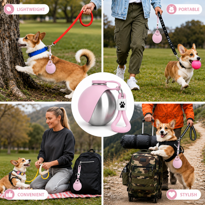 PawNest Stainless Steal Bottle